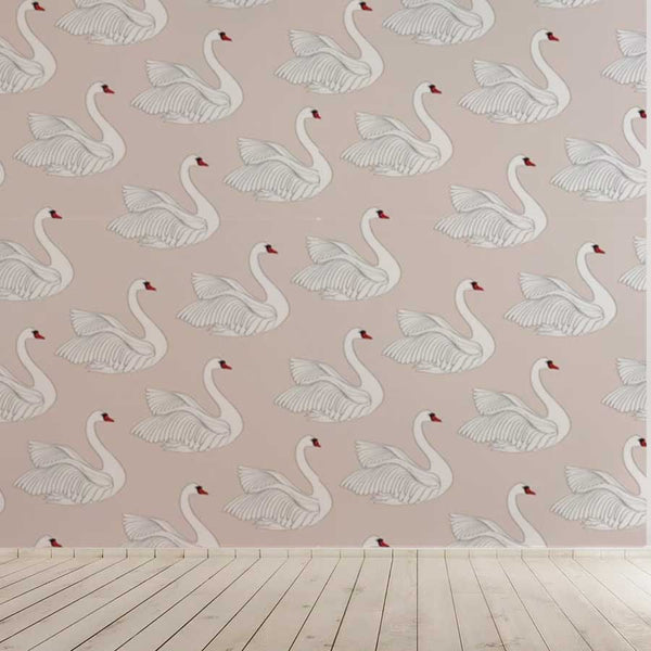 Swan wallpaper