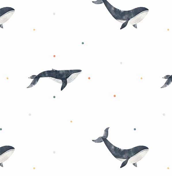 Whale Illustration wallpaper